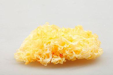 开罗模拟经营游戏《温泉物语2》现已上线Steam